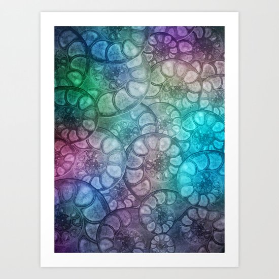 Fossil Shells Art Print