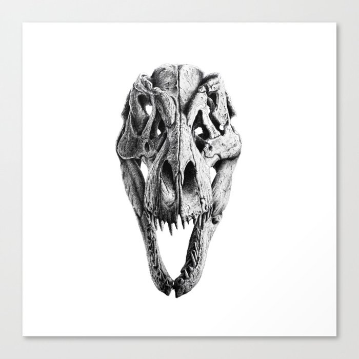 t rex skeleton head drawing