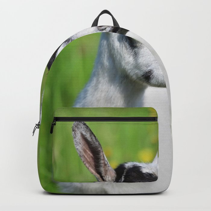 Domestic Goat Eats Grass Meadow Summer   64 Backpack