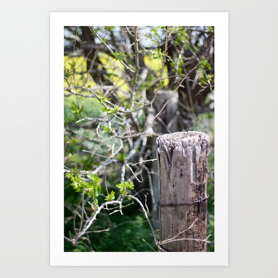 fence post Art Print
