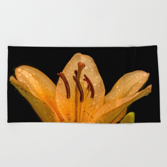 Yellow lily Beach Towel