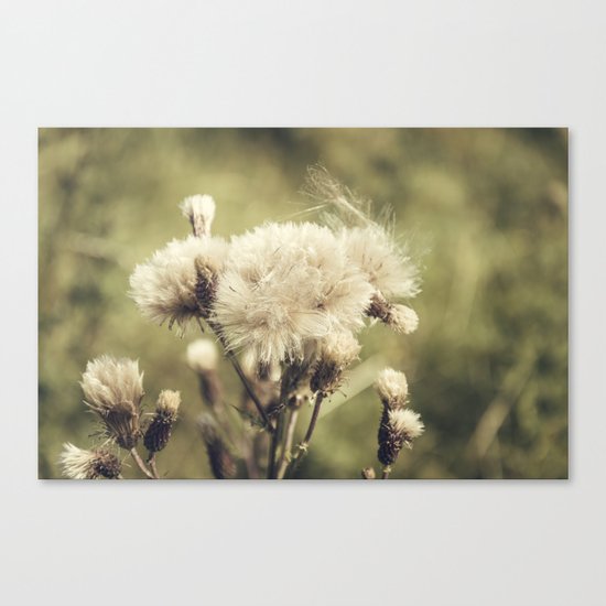 Flowers Canvas Print