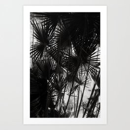 Botanical photo print - Artistic black and white photography Art Print