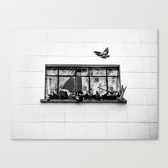 No me veas alimentarlas Canvas Print