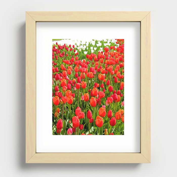 Springcolors Recessed Framed Print