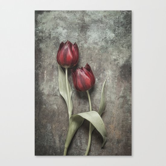 Red Tulips II Canvas Print