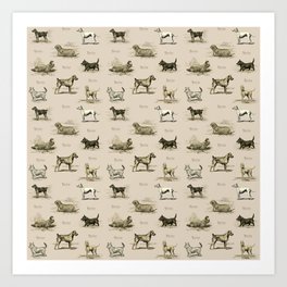 TERRIERS Dog pattern on the beige background Art Print | White, Animal, Drawing, Westie, Ink, Pets, Digital, Puppy, Irish, Dogs 