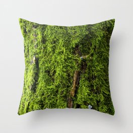 Moss Green, Moss Texture, Textured, Woodland Decor, Nature Art Print, Moss Decor, Nature home, Throw Pillow