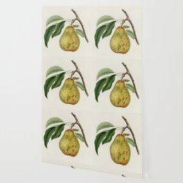 Pear Wallpaper