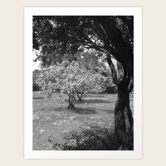 Under Cover Art Print