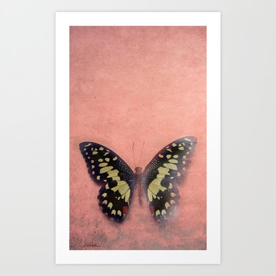 Vintage Butterfly 3 Art Print