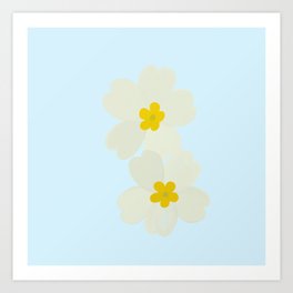 Primrose Flower Art Print