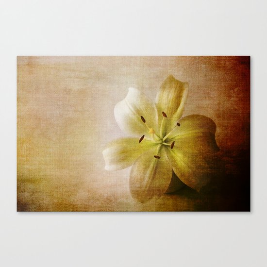 Textured Lily Canvas Print