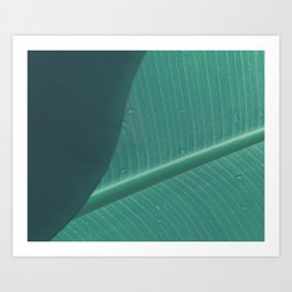 Banana leaf Art Print
