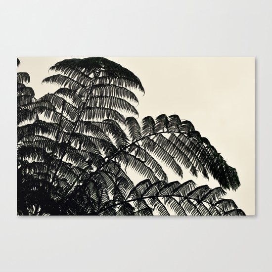 Palm Fan Canvas Print