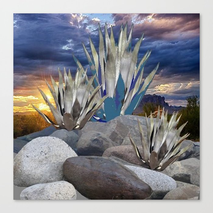 Agave Cactus Grey Rocks Sunset Landscape Canvas Print By Agave Cactus Grey Rocks Sunset Landscape Canvas Print By Sharlesart Society6