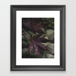 Fall Leaf Framed Art Print