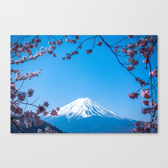 Mount Fuji in spring Canvas Print