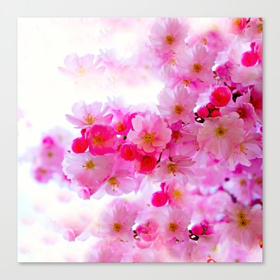 PINK CHERRY BLOSSOMS Canvas Print