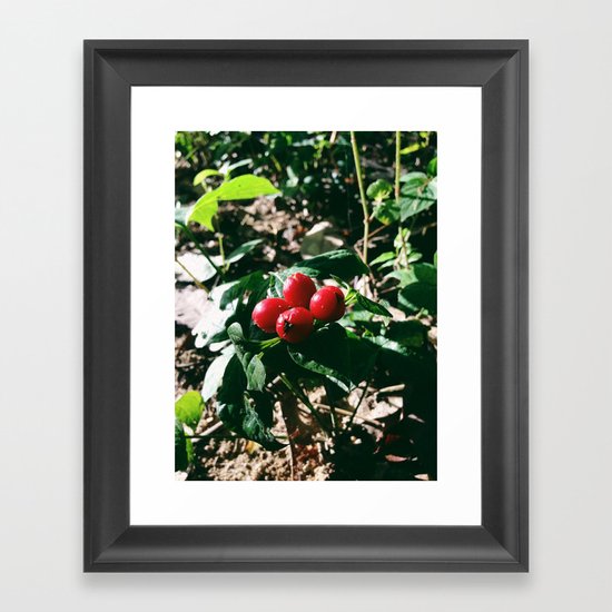 Spider Fruit Framed Art Print