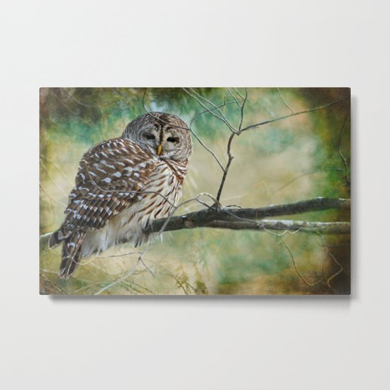 Listen a hundred times. Ponder a thousand times. Speak once. Metal Print