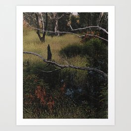Forest Hues Art Print