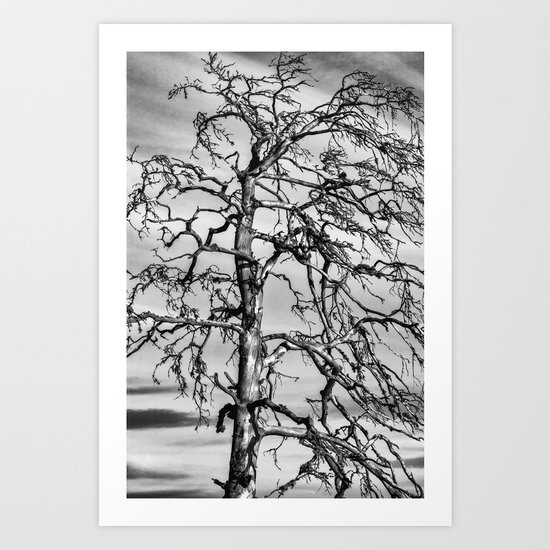 Still Standing - black edition Art Print