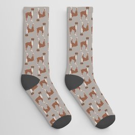 Boxer Dog Pattern Socks