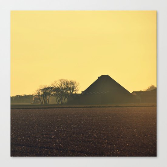Morning activity #4 Canvas Print