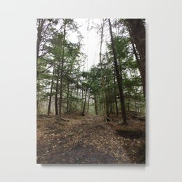 lost woods Metal Print | Nature, Photo, Landscape 