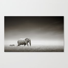Elephant with zebra Canvas Print