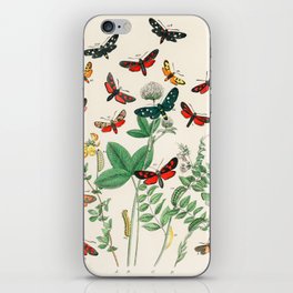 European Moths and Plants Scientific Illustration Biology Lithograph by WF Kirby iPhone Skin