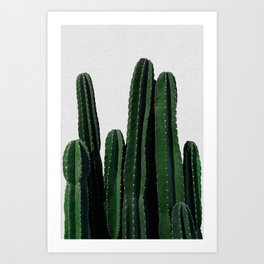 Cactus I Kunstdrucke