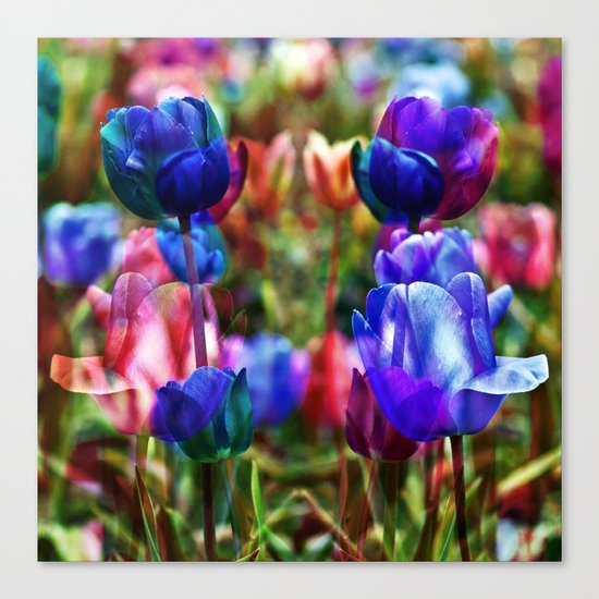 A Floral Dream of Spring Canvas Print