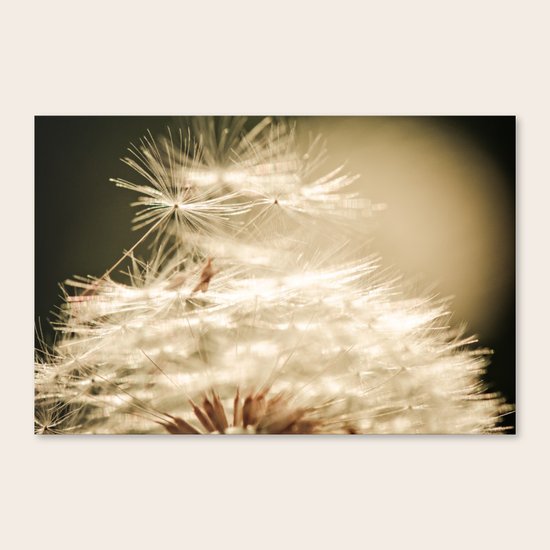 Bijoux Canvas Print