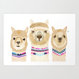 Colorful Alpaca Collage Art Print | Vintage, Alpacas, Animal, Festival, Southamerica, Fluffy, Illustration, Lindseykay, Pink, Cute 