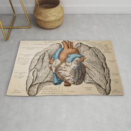 Vintage anatomy illustration Area & Throw Rug