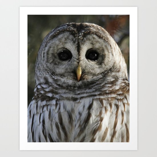Noble Art Print