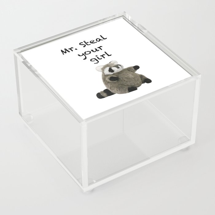 Stealthy Raccoon Acrylic Box
