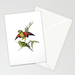Vintage Scaly Breasted Lorikeet Bird Illustration Stationery Card
