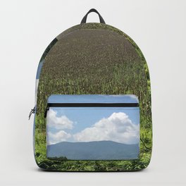 The View Backpack