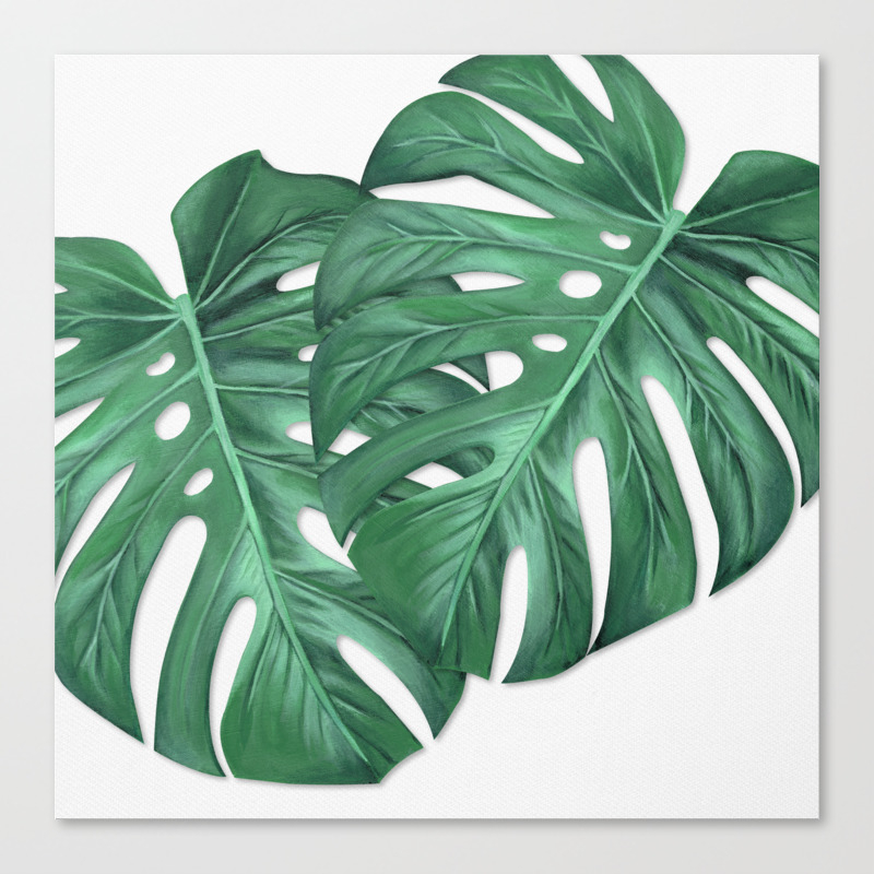 Monstera Tropical Leaf Painting Canvas Print By Anne Marieart