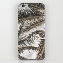 Tropical Palm Trees iPhone Skin