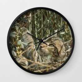 Peruvian Kitten Wall Clock