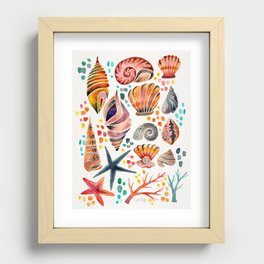 Painted Seashells – Coral & Blue Recessed Framed Print
