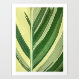Abstract Green Tropical Leaf Art Print