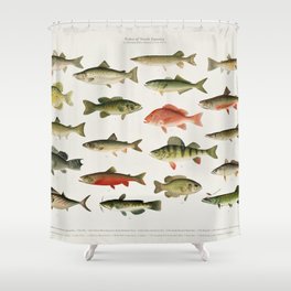 Illustrated North America Game Fish Identification Chart Shower Curtain