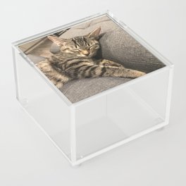 Cat sleeping Acrylic Box