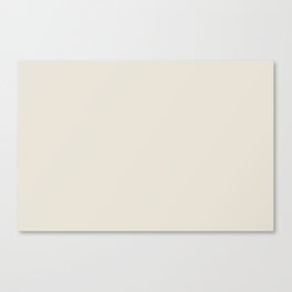 Powder Puff Off White Solid Color Pairs PPG Water Chestnut PPG1078-2 - All One Single Shade Colour Canvas Print