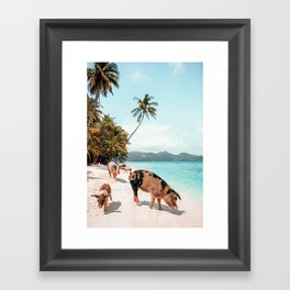 Pig Beach 1 Framed Art Print